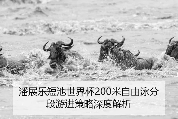 pan-zhan-le-duan-chi-shi-jie-bei-mi-zi-you-yong-fen-duan-you-jin-ce-lve-shen-du-jie-xi-2-681.jpg