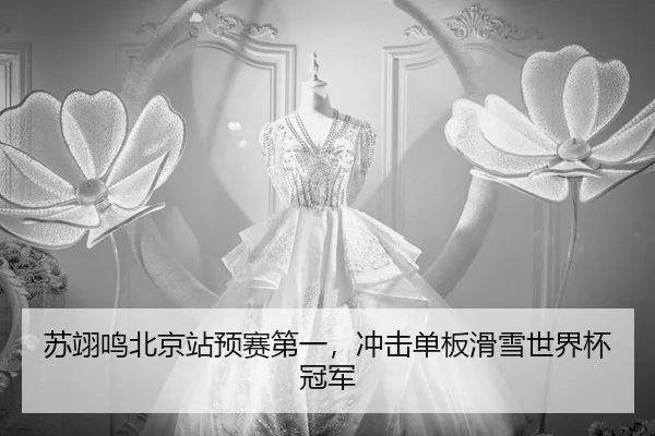 su-yi-ming-bei-jing-zhan-yu-sai-di-yi-chong-ji-dan-ban-hua-xue-shi-jie-bei-guan-jun-3-189.jpg