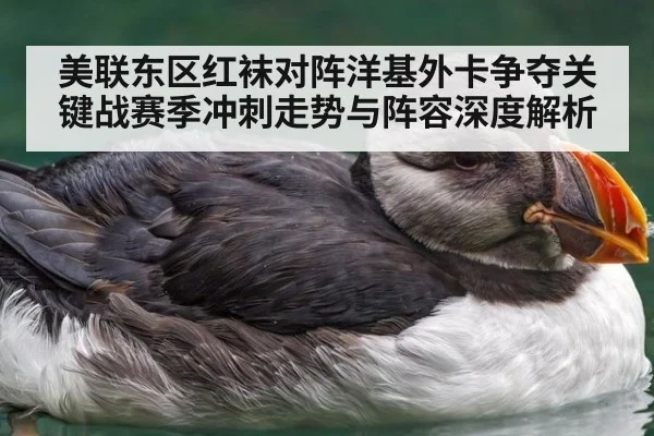 美联东区红袜对阵洋基外卡争夺关键战赛季冲刺走势与阵容深度解析